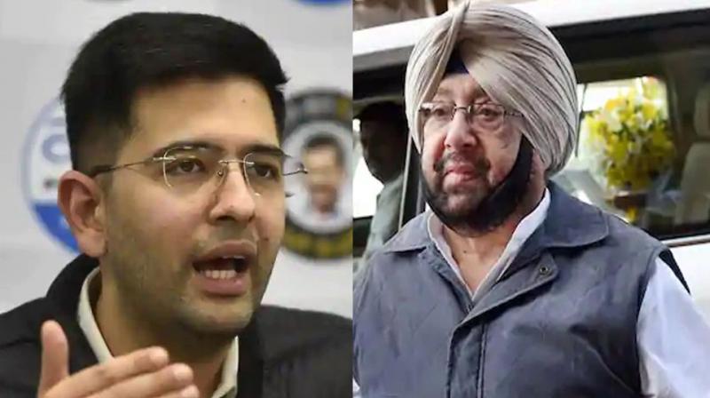 Delhi MLA Raghav Chadha and Captain Amarinder Singh 