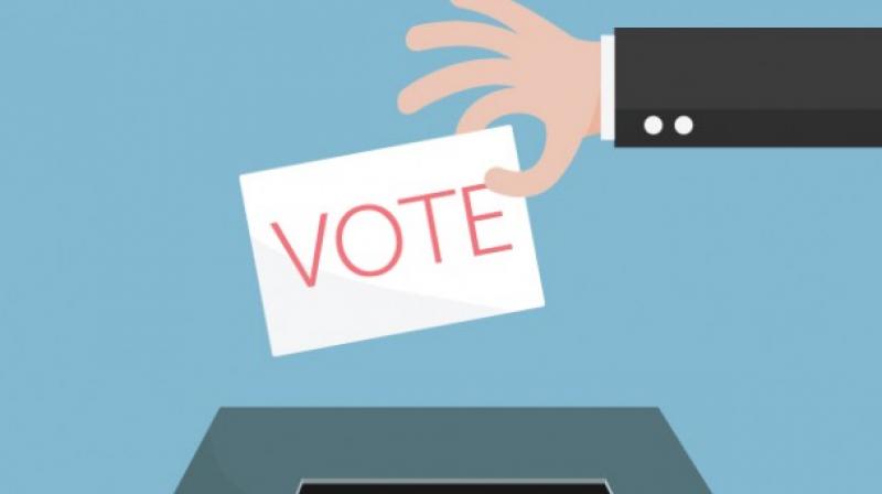 LS Polls LS Polls