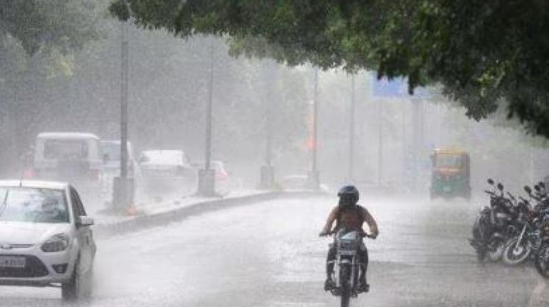 Rain Alert Rain Alert