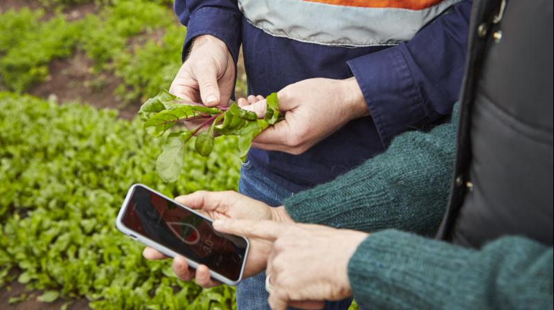 Remotely manage aqua farms by monitoring water and temperature conditions 