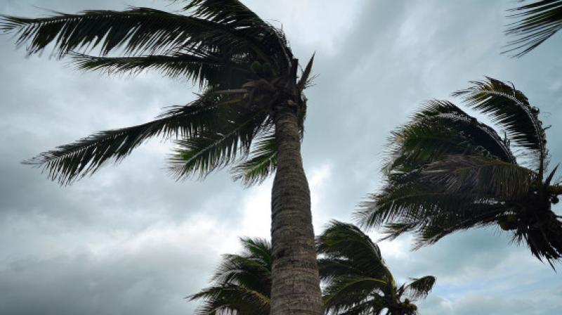 High winds sweep across MP town High winds sweep across MP town