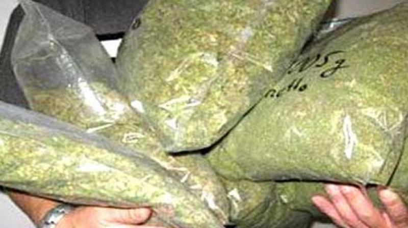 Ganja worth Rs 2 crore seized