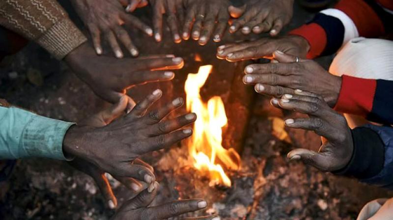 Minimum temperature was recorded at 3.6 degree Celsius Minimum temperature was recorded at 3.6 degree Celsius