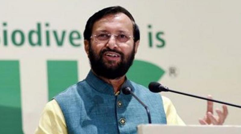 HRD Minister Prakash Javadekar HRD Minister Prakash Javadekar