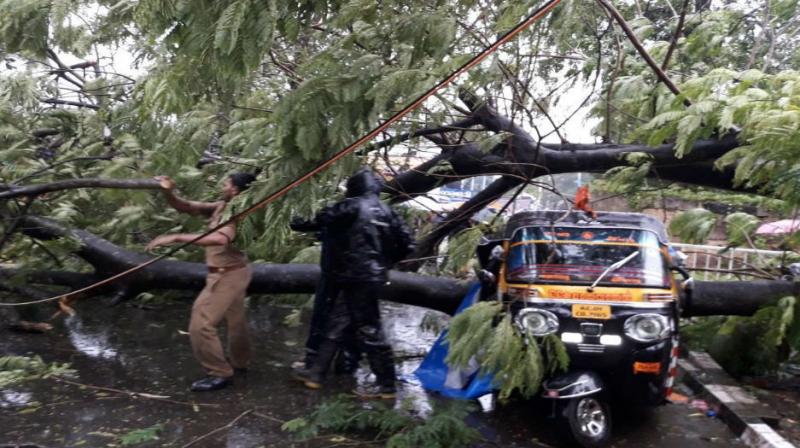 Death toll in rain-related incidents in Kerala has climbed to 28