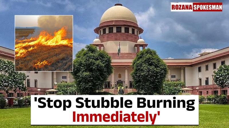 Supreme Court on Air Pollution in Delhi