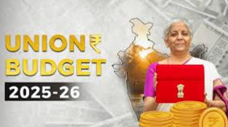 Union Budget 2025: What's low cost and What's high cost for Consumers? Union Budget 2025: What's low cost and What's high cost for Consumers?