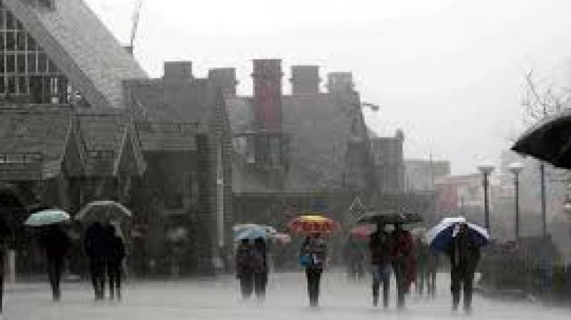 rainfall rainfall