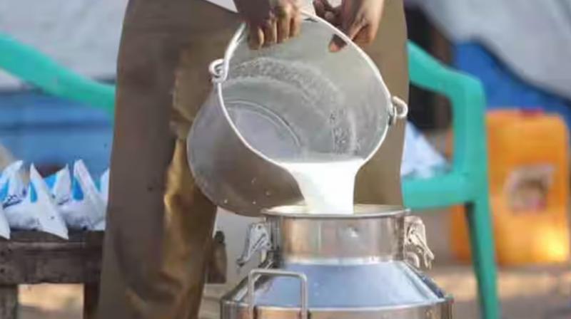 Punjab’s Milk Production Grows by 4.8 Percent Over Four Years, MP Sanjeev Arora Informs Parliament Punjab’s Milk Production Grows by 4.8 Percent Over Four Years, MP Sanjeev Arora Informs Parliament