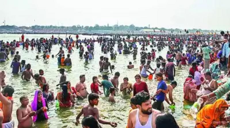 Health at Risk: NGT Calls for Strict Action Over Faecal Coliform Contamination in Prayagraj Waters Health at Risk: NGT Calls for Strict Action Over Faecal Coliform Contamination in Prayagraj Waters