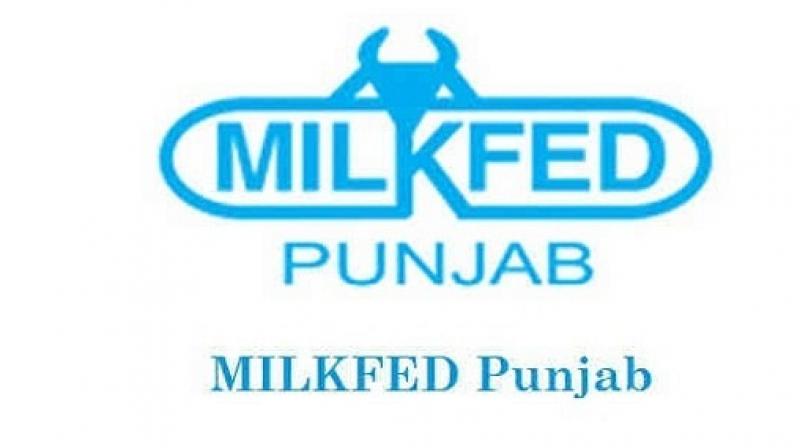 Milkfed Punjab