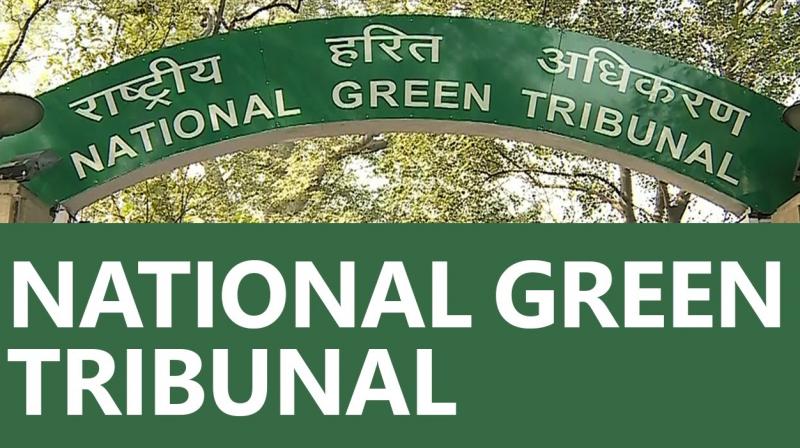 National Green Tribunal