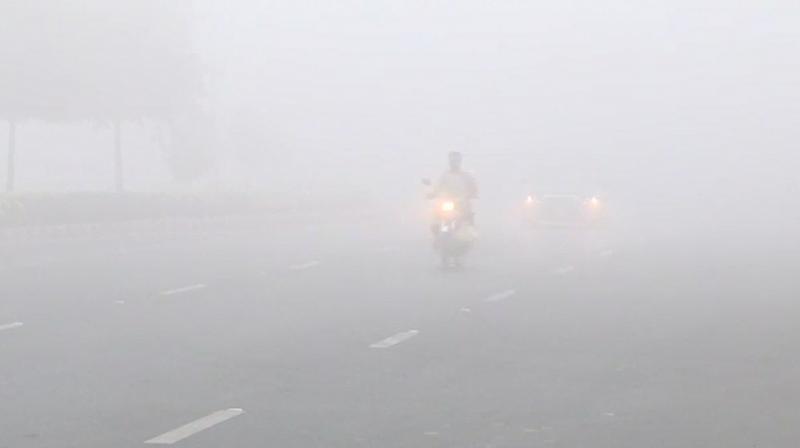 Fog in Punjab and Haryana Fog in Punjab and Haryana
