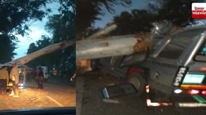 Huge Tree falls on Car in Tarn Taran