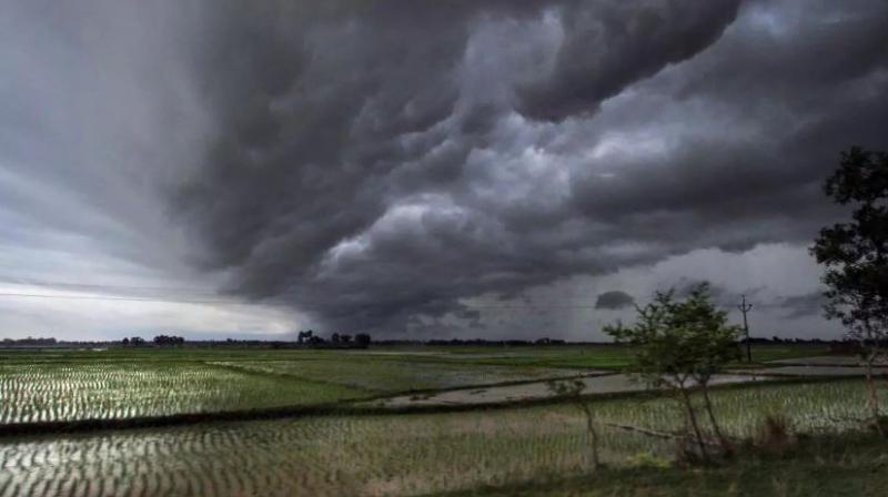 Monsoon Monsoon