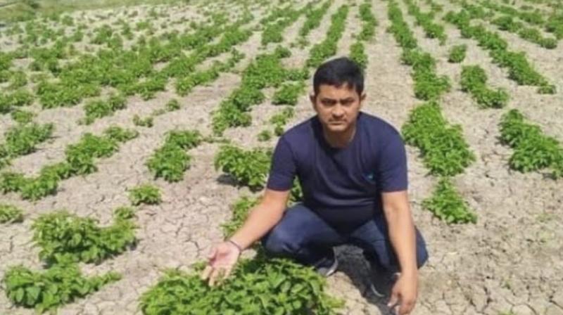 Bihar farmer Bihar farmer