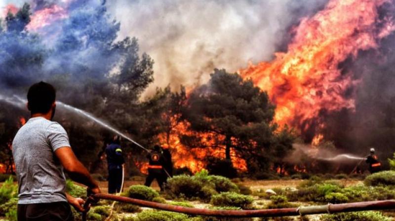 Death toll from Greek forest fire rises to 93