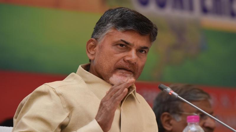 Andhra Pradesh Chief Minister N Chandrababu Naidu