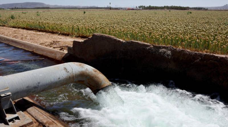 Sandhu described the contamination as a “public health emergency”.  File Photo.