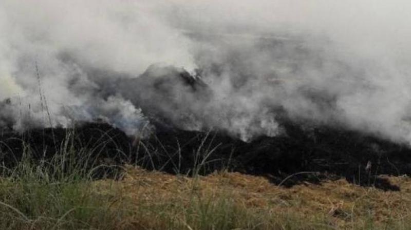 Stubble burning Stubble burning