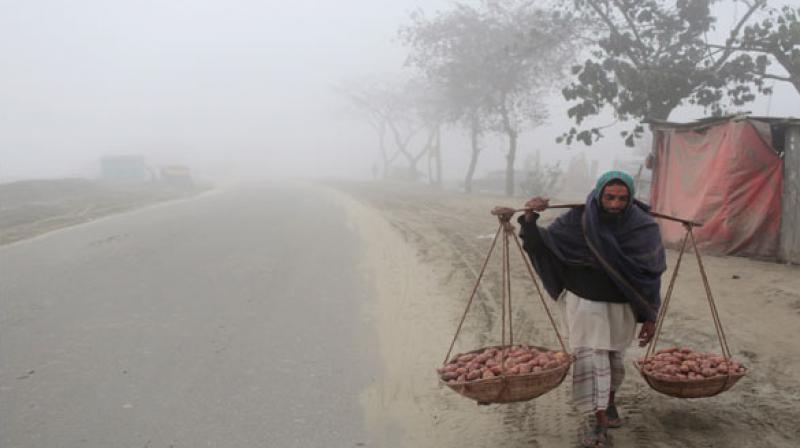 Punjab, Haryana reel under cold weather Punjab, Haryana reel under cold weather