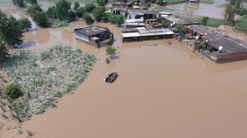 Punjab Floods: Cabinet Ministers Take Stock of Flood-Affected Areas, Flag off Relief Materials Punjab Floods: Cabinet Ministers Take Stock of Flood-Affected Areas, Flag off Relief Materials