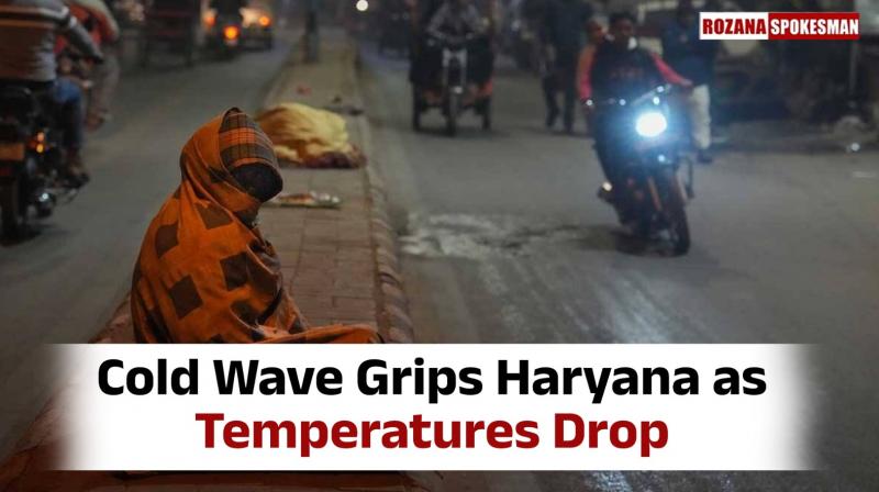 Haryana Weather Update Latest News