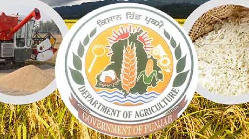 Punjab Agriculture department has so far delivered 7337 subsidized agro-machines Punjab Agriculture department has so far delivered 7337 subsidized agro-machines