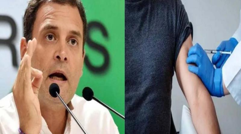 Rahul Gandhi Rahul Gandhi