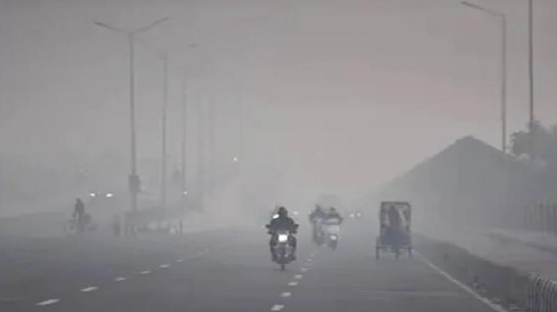 Punjab Weather Update: IMD issues Red Alert, dense fog, cold conditions likely at few places 