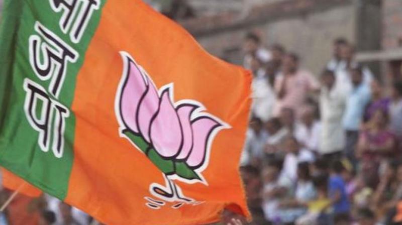 BJP Win in Maharashtra BJP Win in Maharashtra