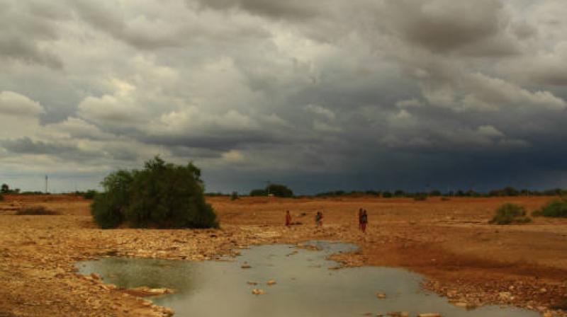 Rajasthan has received normal rainfall this monsoon