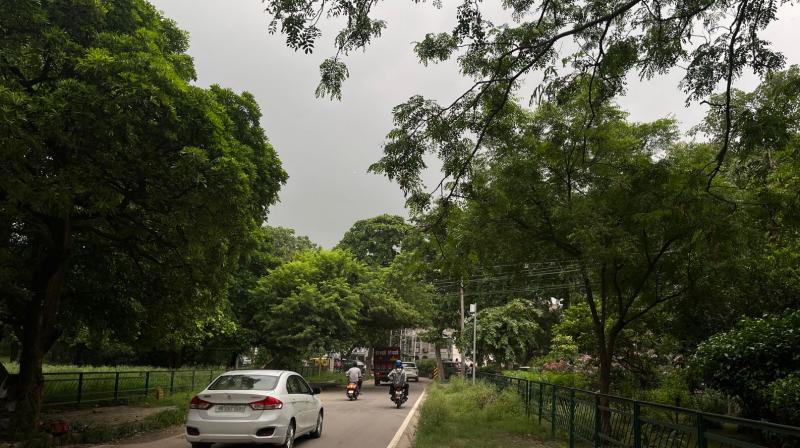 Punjab Weather Updates: Expected to Remain Pleasant Throughout the Week Punjab Weather Updates: Expected to Remain Pleasant Throughout the Week