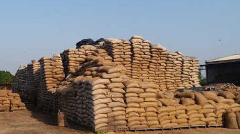 50514 MT paddy procured 50514 MT paddy procured
