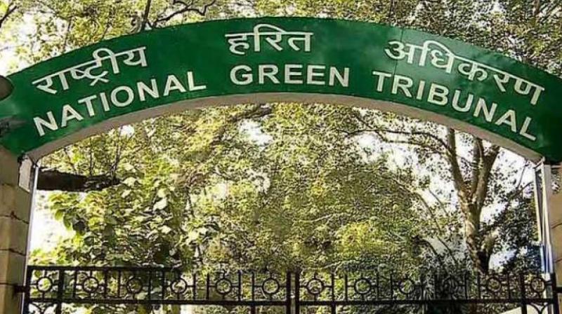 NGT NGT