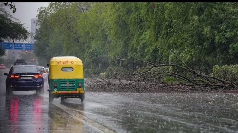 Punjab Weather Update: Here's What IMD said about next few days Punjab Weather Update: Here's What IMD said about next few days