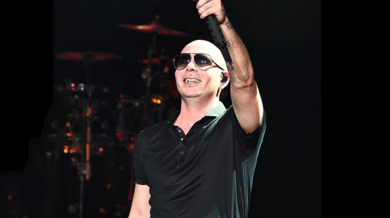 Pitbull 