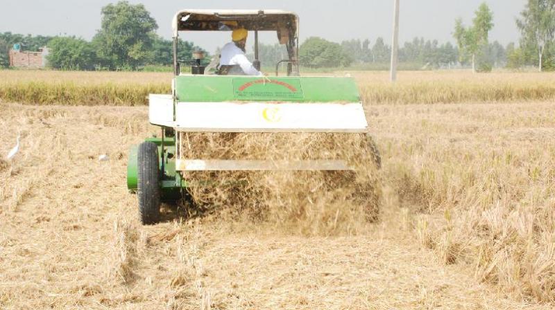 Most farmers in Punjab use combine harvesters for paddy harvesting