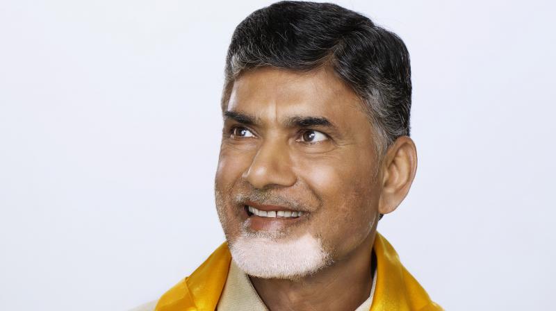 Andhra Pradesh Chief Minister N Chandrababu Naidu 