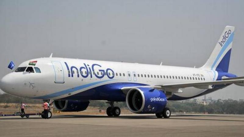 IndiGo IndiGo