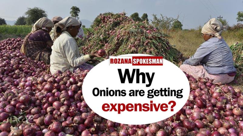 Onion Price Hike News