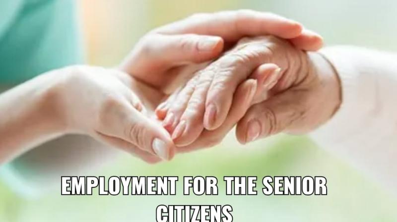 Employment Exchange to Employ Senior Citizens Employment Exchange to Employ Senior Citizens