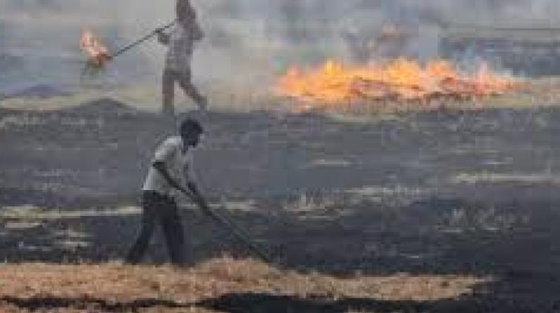 However, despite that improvement, CAQM's letter flagged both detected and undetected fire events and suggested significant gaps in compliance. File Photo.