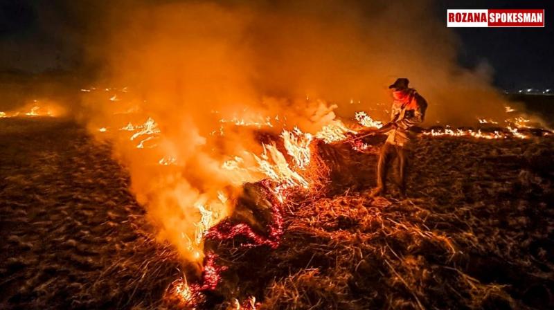 Punjab Stubble Burning Latest News Today Punjab Stubble Burning Latest News Today