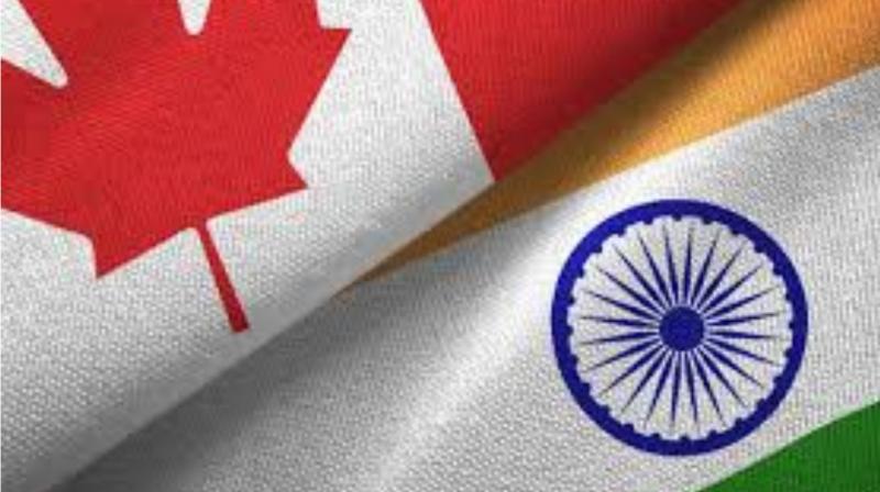 India Canada Latest News: India Rejects Canada's claim of Election Interference India Canada Latest News: India Rejects Canada's claim of Election Interference