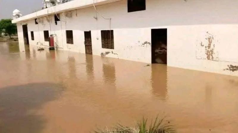 Punjab Weather: Amid Floods Situations, IMD Warns Of Further Rainfall In Eastern Districts