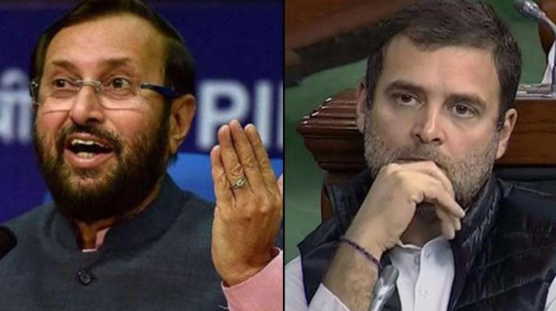 Prakash Javadekar slams Rahul Gandhi Prakash Javadekar slams Rahul Gandhi