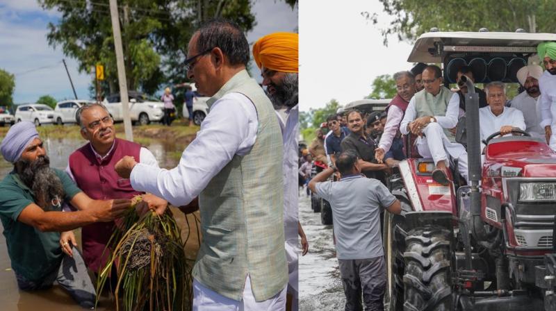 Minister Shivraj Chouhan Punjab Visit: “Pain & loss cannot be estimated without going to the fields” Minister Shivraj Chouhan Punjab Visit: “Pain & loss cannot be estimated without going to the fields”