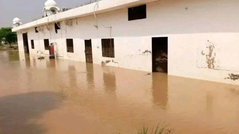 National Food Bowl In Perils As 4l Acres Submerged, Seeks Immediate Relief From Centre: IPRD, Punjab National Food Bowl In Perils As 4l Acres Submerged, Seeks Immediate Relief From Centre: IPRD, Punjab