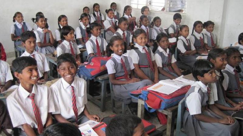 government primary schools government primary schools